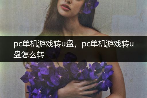 pc单机游戏转u盘，pc单机游戏转u盘怎么转