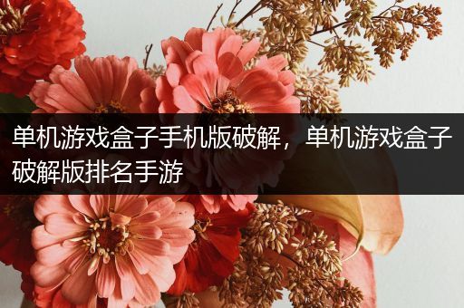 单机游戏盒子手机版破解，单机游戏盒子破解版排名手游