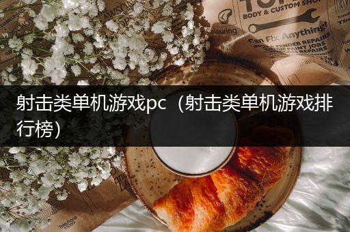 射击类单机游戏pc（射击类单机游戏排行榜）