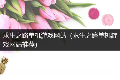 求生之路单机游戏网站（求生之路单机游戏网站推荐）