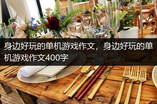 身边好玩的单机游戏作文，身边好玩的单机游戏作文400字