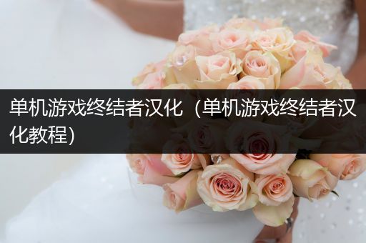 单机游戏终结者汉化（单机游戏终结者汉化教程）