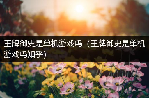 王牌御史是单机游戏吗（王牌御史是单机游戏吗知乎）