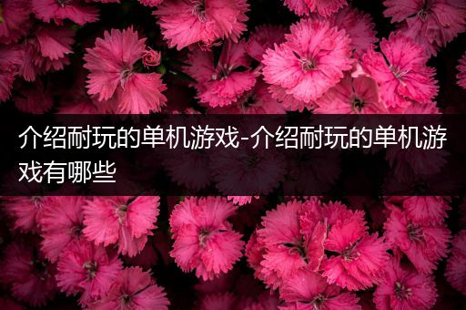 介绍耐玩的单机游戏-介绍耐玩的单机游戏有哪些