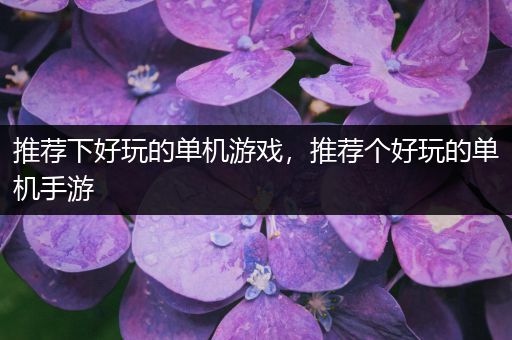 推荐下好玩的单机游戏，推荐个好玩的单机手游