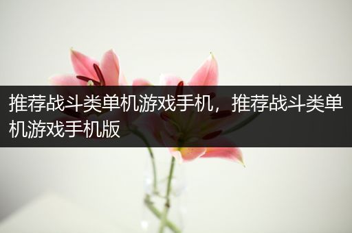 推荐战斗类单机游戏手机，推荐战斗类单机游戏手机版