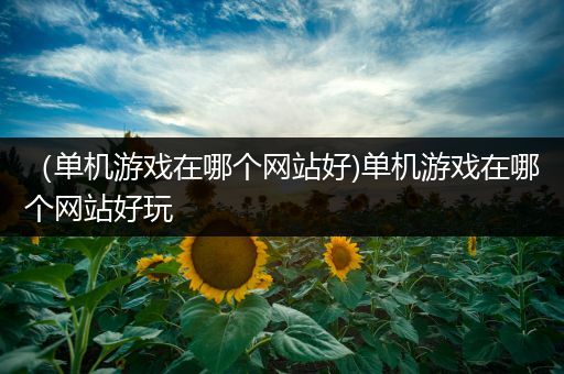 （单机游戏在哪个网站好)单机游戏在哪个网站好玩