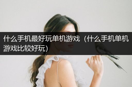 什么手机最好玩单机游戏（什么手机单机游戏比较好玩）