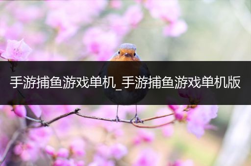 手游捕鱼游戏单机_手游捕鱼游戏单机版