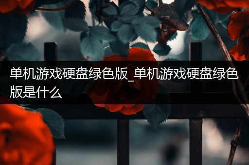 单机游戏硬盘绿色版_单机游戏硬盘绿色版是什么