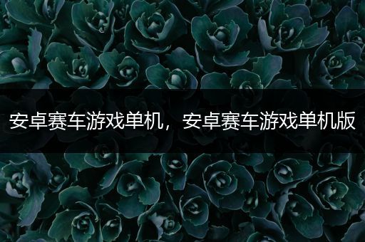 安卓赛车游戏单机，安卓赛车游戏单机版