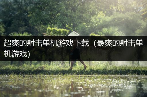 超爽的射击单机游戏下载（最爽的射击单机游戏）