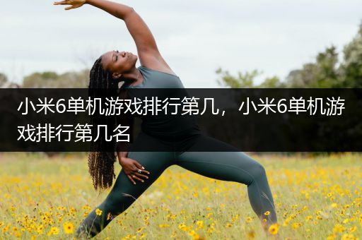 小米6单机游戏排行第几，小米6单机游戏排行第几名