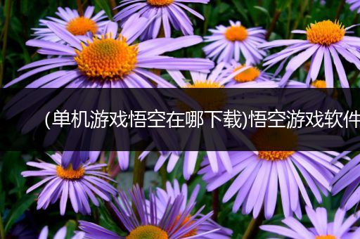 （单机游戏悟空在哪下载)悟空游戏软件
