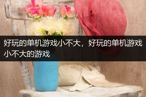 好玩的单机游戏小不大，好玩的单机游戏小不大的游戏