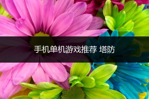手机单机游戏推荐 塔防