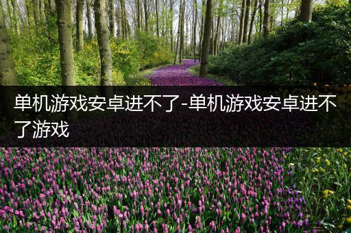 单机游戏安卓进不了-单机游戏安卓进不了游戏