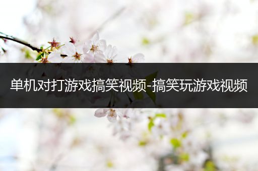 单机对打游戏搞笑视频-搞笑玩游戏视频