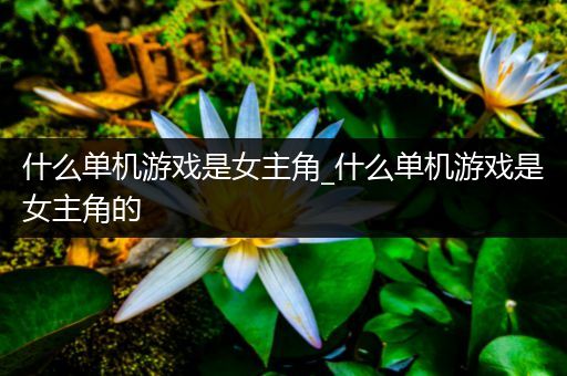 什么单机游戏是女主角_什么单机游戏是女主角的