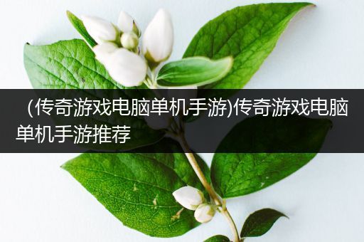 （传奇游戏电脑单机手游)传奇游戏电脑单机手游推荐