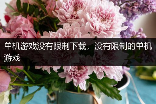 单机游戏没有限制下载，没有限制的单机游戏