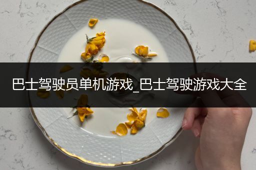巴士驾驶员单机游戏_巴士驾驶游戏大全