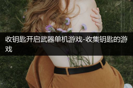 收钥匙开启武器单机游戏-收集钥匙的游戏