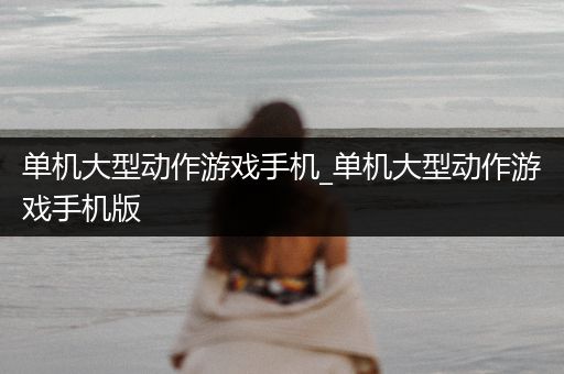 单机大型动作游戏手机_单机大型动作游戏手机版
