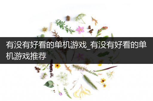 有没有好看的单机游戏_有没有好看的单机游戏推荐
