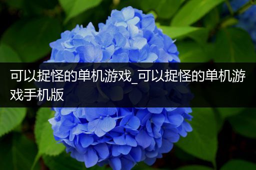 可以捉怪的单机游戏_可以捉怪的单机游戏手机版