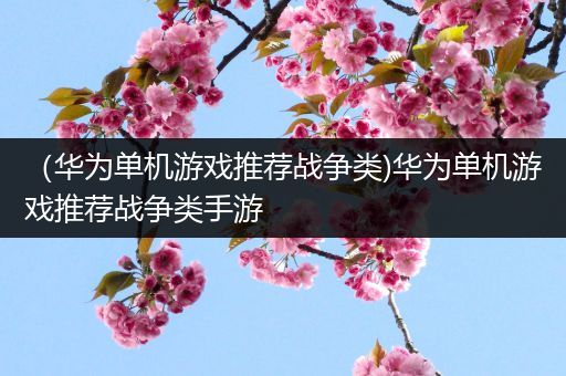 （华为单机游戏推荐战争类)华为单机游戏推荐战争类手游