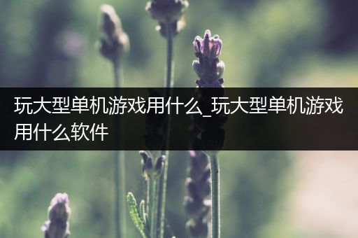 玩大型单机游戏用什么_玩大型单机游戏用什么软件