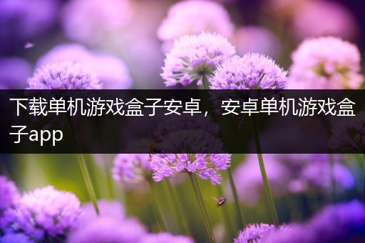 下载单机游戏盒子安卓，安卓单机游戏盒子app