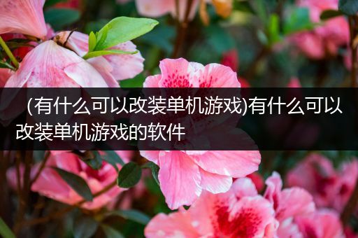 （有什么可以改装单机游戏)有什么可以改装单机游戏的软件