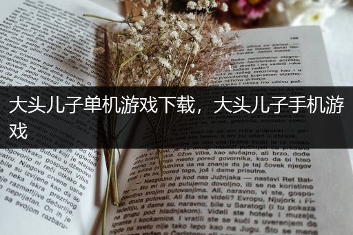 大头儿子单机游戏下载，大头儿子手机游戏