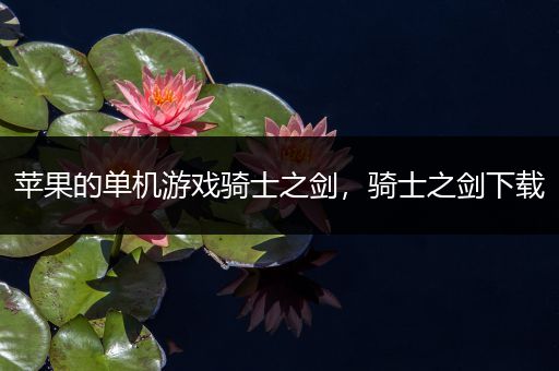 苹果的单机游戏骑士之剑，骑士之剑下载