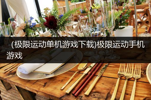 （极限运动单机游戏下载)极限运动手机游戏