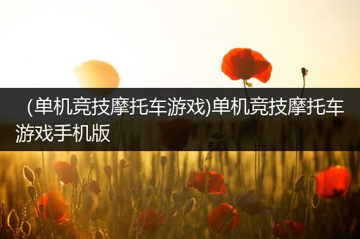 （单机竞技摩托车游戏)单机竞技摩托车游戏手机版