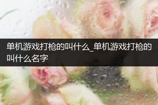 单机游戏打枪的叫什么_单机游戏打枪的叫什么名字