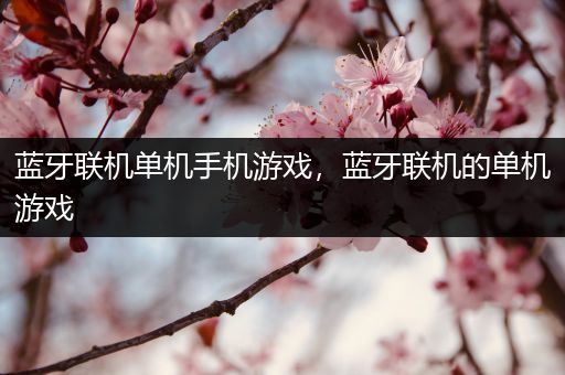 蓝牙联机单机手机游戏，蓝牙联机的单机游戏