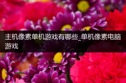 主机像素单机游戏有哪些_单机像素电脑游戏