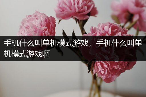 手机什么叫单机模式游戏，手机什么叫单机模式游戏啊