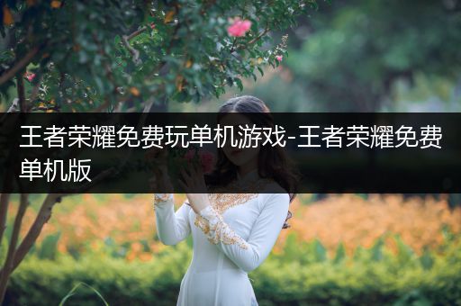 王者荣耀免费玩单机游戏-王者荣耀免费单机版