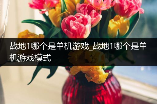 战地1哪个是单机游戏_战地1哪个是单机游戏模式