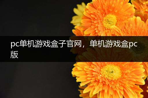 pc单机游戏盒子官网，单机游戏盒pc版