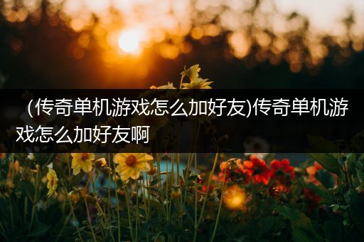 （传奇单机游戏怎么加好友)传奇单机游戏怎么加好友啊