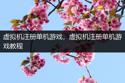 虚拟机注册单机游戏，虚拟机注册单机游戏教程