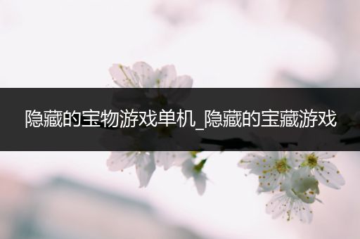 隐藏的宝物游戏单机_隐藏的宝藏游戏