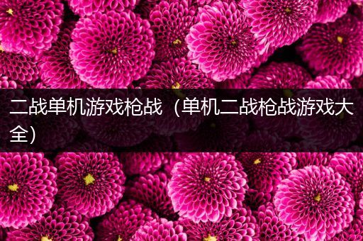 二战单机游戏枪战（单机二战枪战游戏大全）