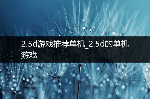 2.5d游戏推荐单机_2.5d的单机游戏